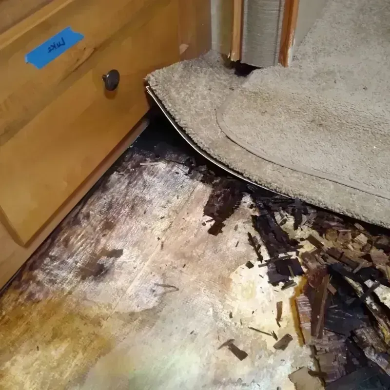 Wood Floor Water Damage in Weldon, CA